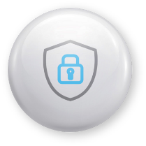 Business Security Icon