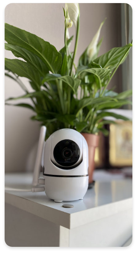 IP Camera